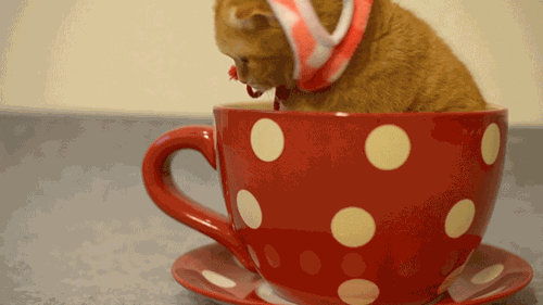 Acid Gifdump, July 29 (25 gifs)