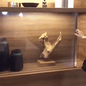 Acid Gifdump, July 30 (25 gifs)
