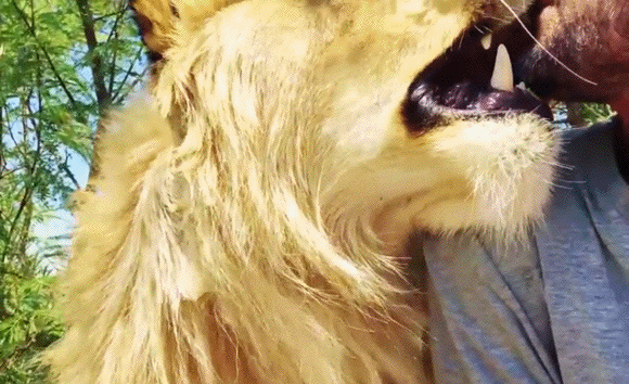 Acid Gifdump, July 30 (25 gifs)
