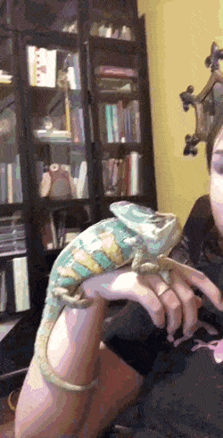 Acid Gifdump, July 30 (25 gifs)