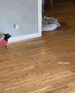 Acid Gifdump, July 30 (25 gifs)