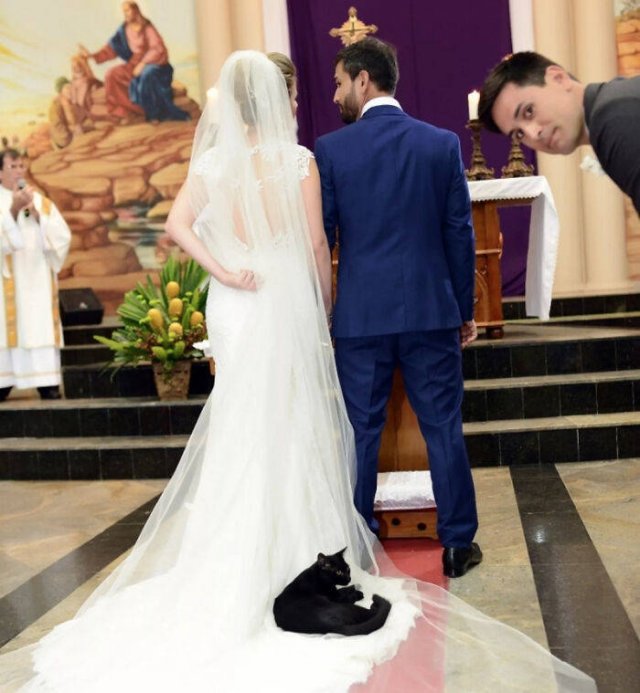 Funny Wedding Photos (39 pics)