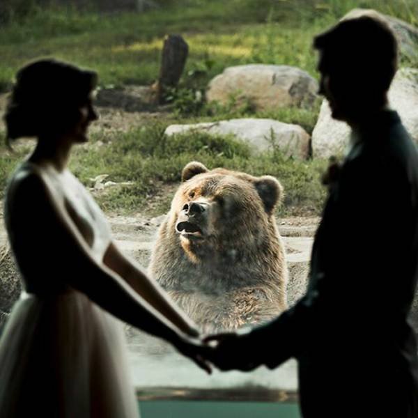 Funny Wedding Photos (39 pics)