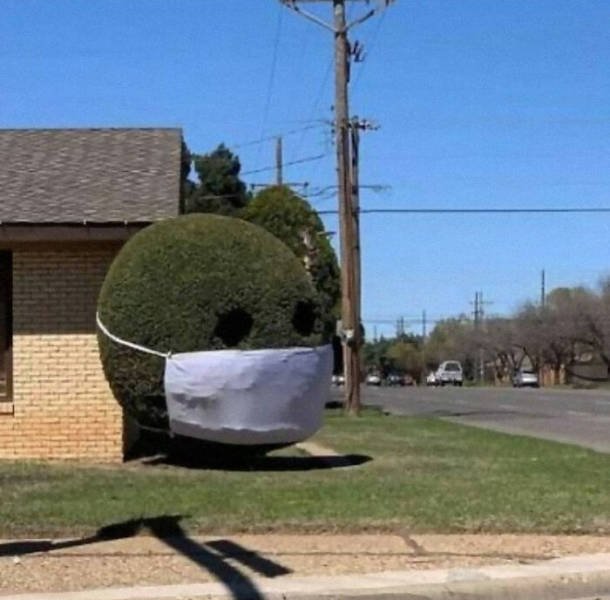 Unusual Gardens (30 pics)