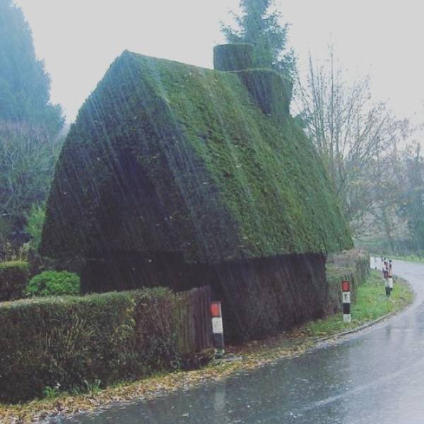 Unusual Gardens (30 pics)