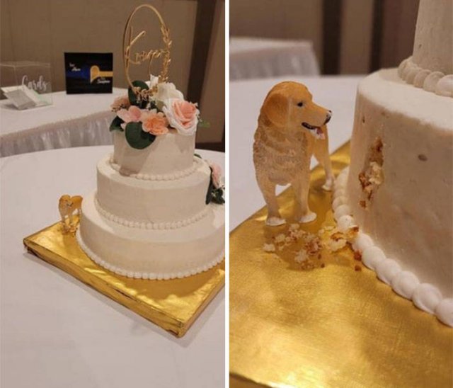 Funny Wedding Photos (39 pics)