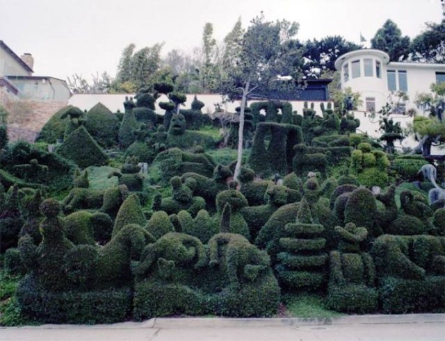 Unusual Gardens (30 pics)