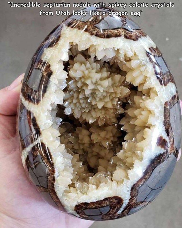 Acid Picdump 2 (80 pics)