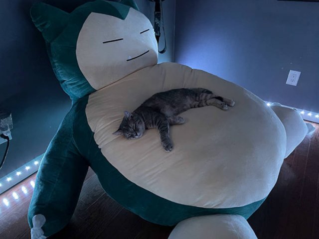 Awesome Things (43 pics)