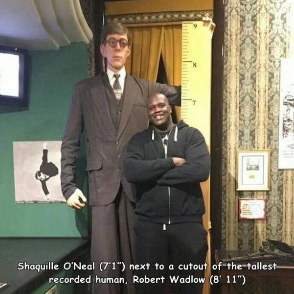 Awesome Things (43 pics)