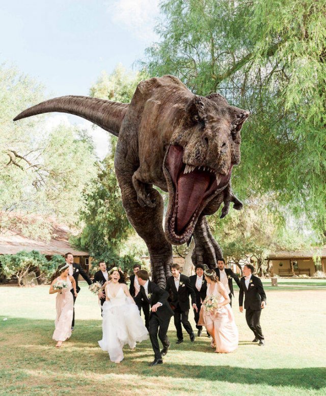 Funny Wedding Photos (39 pics)