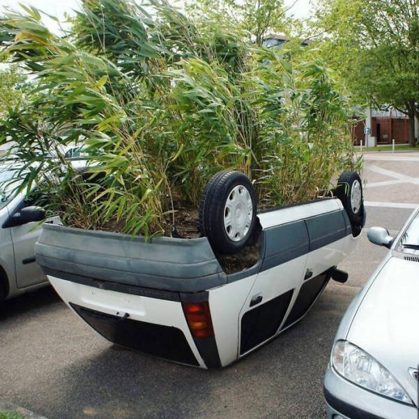 Unusual Gardens (30 pics)