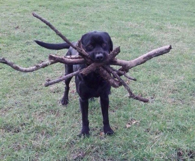 Acid Picdump 2 (80 pics)