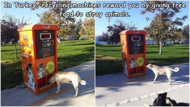 Acid Picdump 2 (80 pics)