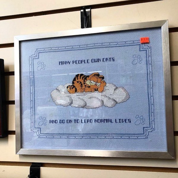Thrift Shop Finds (29 pics)