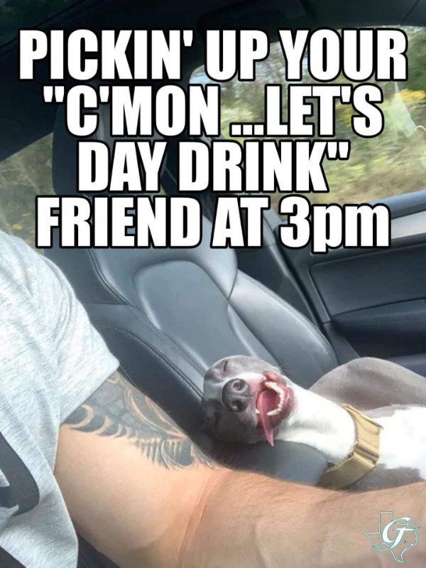 Alcohol Memes And Pictures (21 pics)