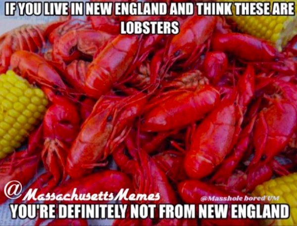 Memes For New Englanders (29 pics)