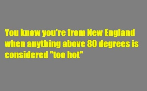 Memes For New Englanders (29 pics)