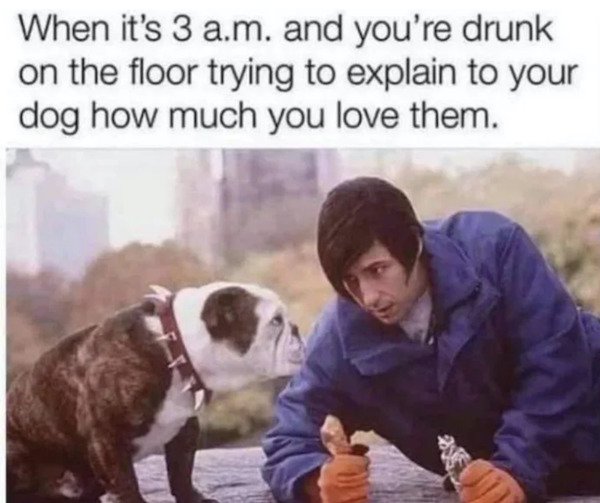 Alcohol Memes And Pictures (21 pics)