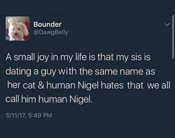 Life Is Beautiful (25 pics)