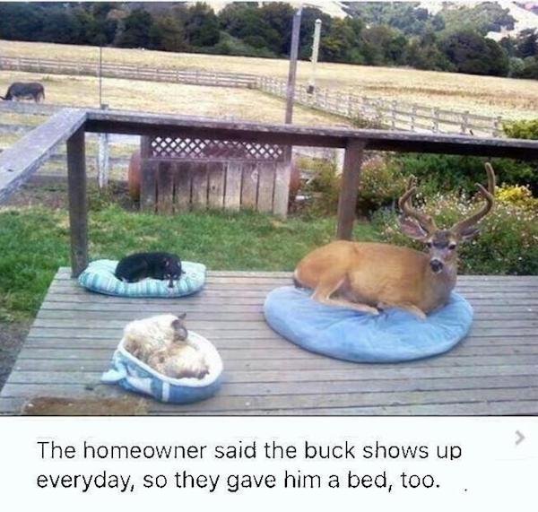 Life Is Beautiful (25 pics)