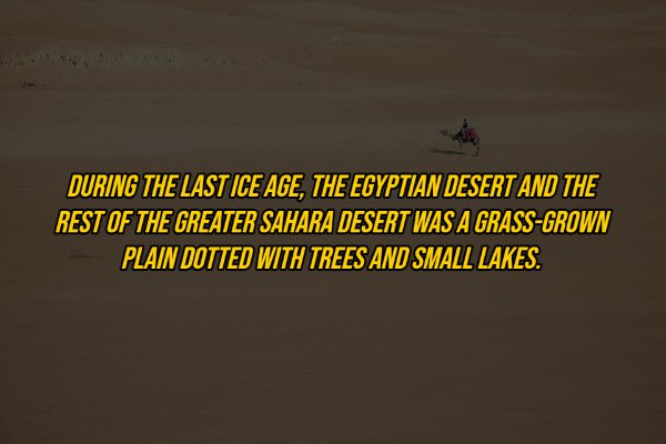 Egypt Facts (18 pics)