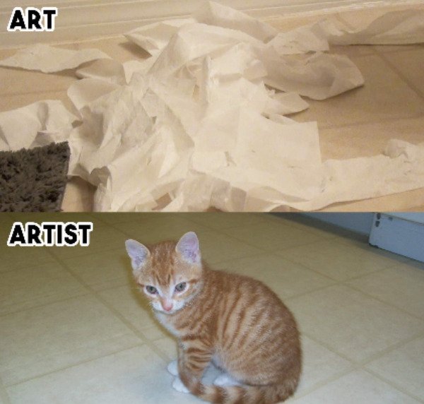 Cats Memes And Pictures (30 pics)