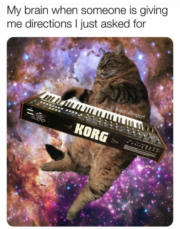 Cats Memes And Pictures (30 pics)