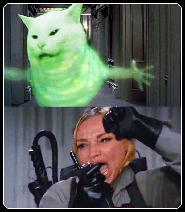 Cats Memes And Pictures (30 pics)