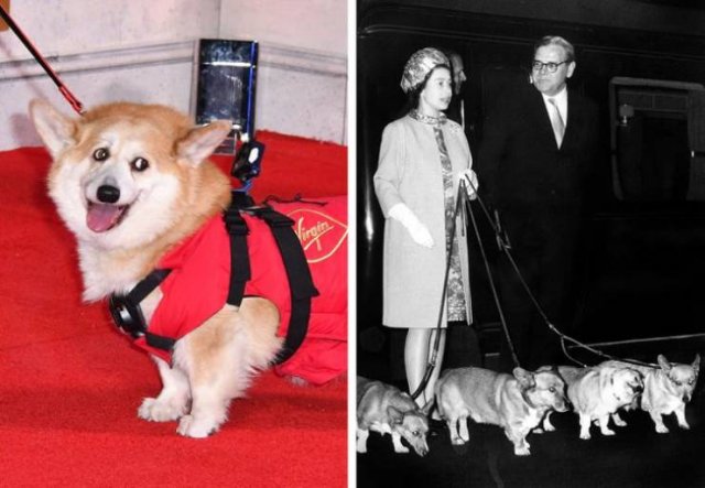 The British Royal Family Facts (10 pics)