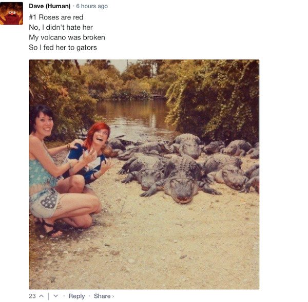 Funny Comments (68 pics)