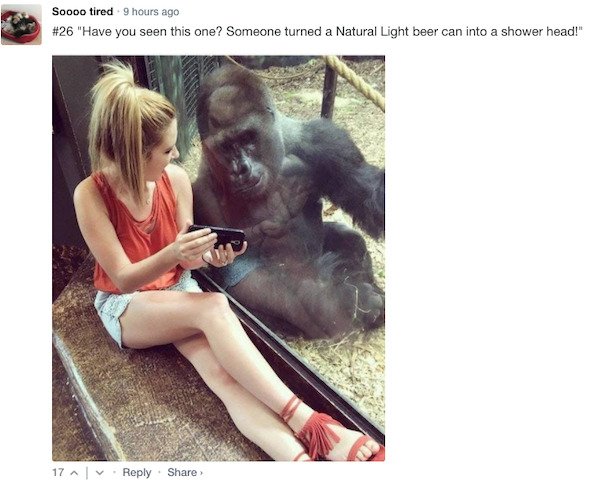 Funny Comments (68 pics)