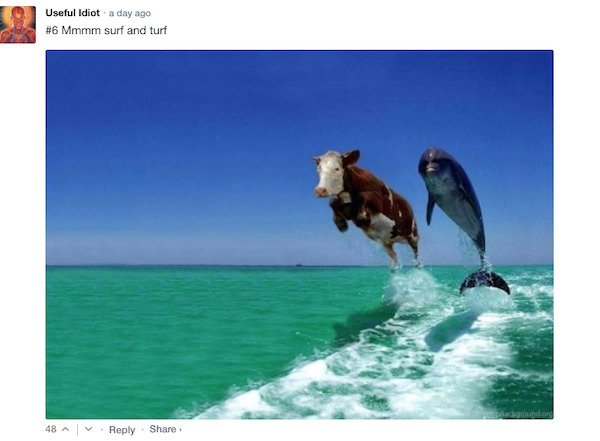 Funny Comments (68 pics)