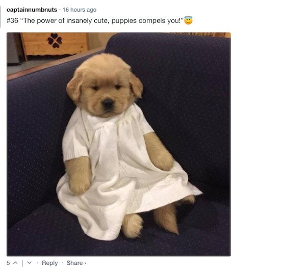 Funny Comments (68 pics)