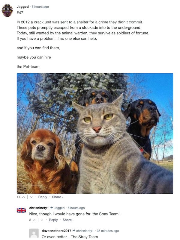 Funny Comments (68 pics)