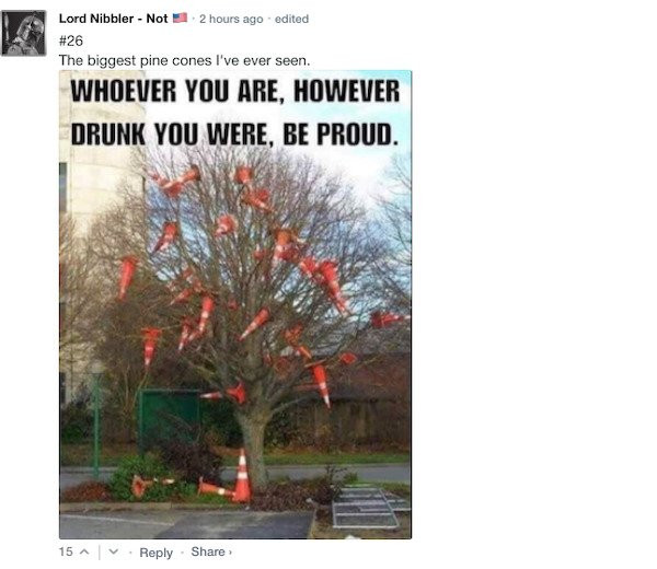 Funny Comments (68 pics)