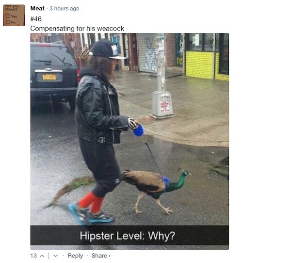 Funny Comments (68 pics)