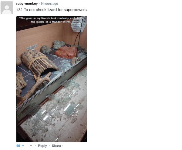Funny Comments (68 pics)