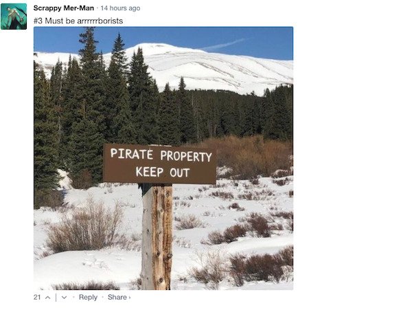 Funny Comments (68 pics)