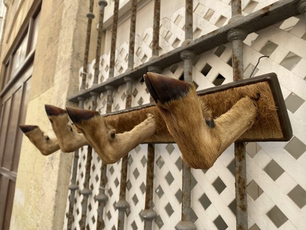 OMG Photos (27 pics)