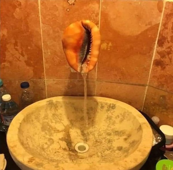 OMG Photos (27 pics)