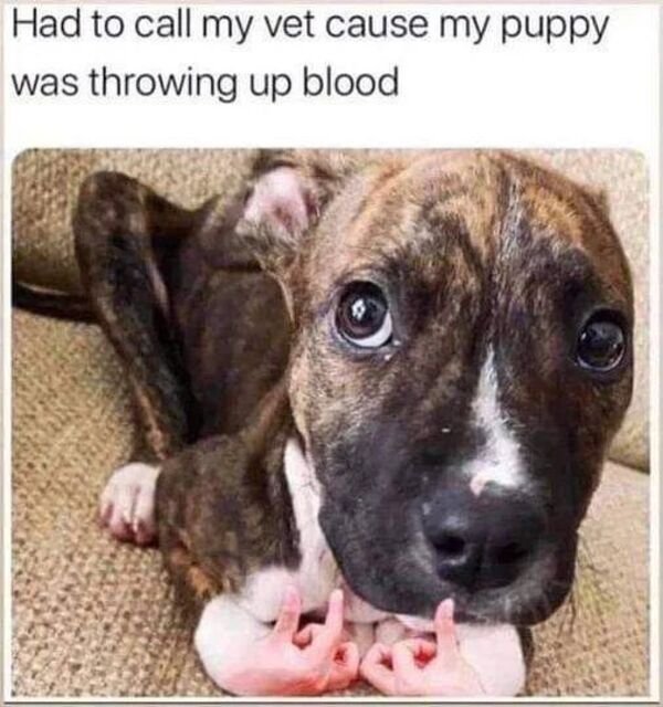 So True (31 pics)