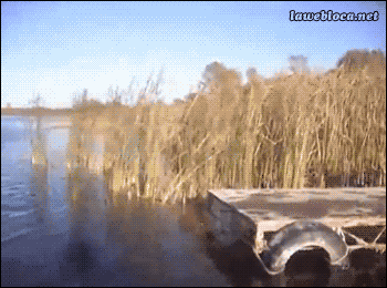Acid Gifdump, August 2 (25 gifs)