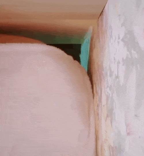 Acid Gifdump, August 2 (25 gifs)