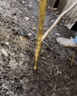 Acid Gifdump, August 2 (25 gifs)