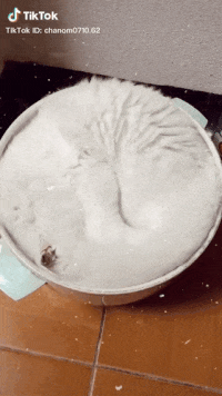 Acid Gifdump, August 2 (25 gifs)