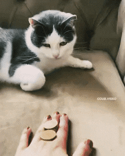 Acid Gifdump, August 2 (25 gifs)