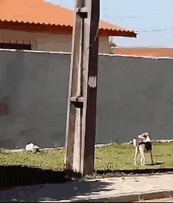 Acid Gifdump, August 2 (25 gifs)