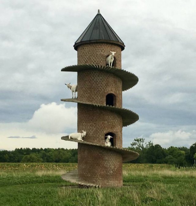 Acid Picdump 1 (75 pics)