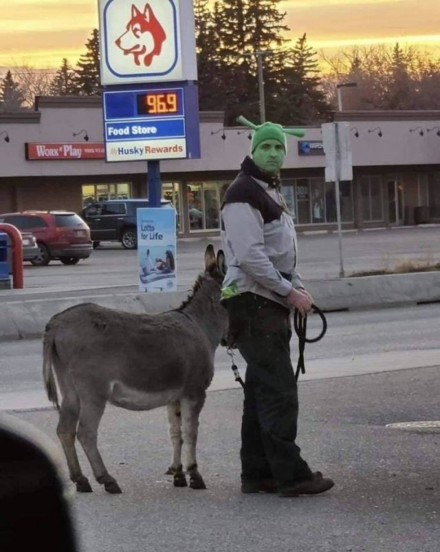 Acid Picdump 1 (75 pics)